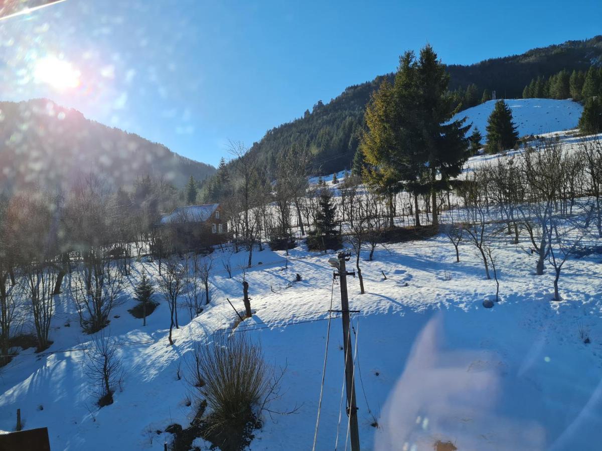 Penzion Mala Fatra U Durka Zilina Luaran gambar